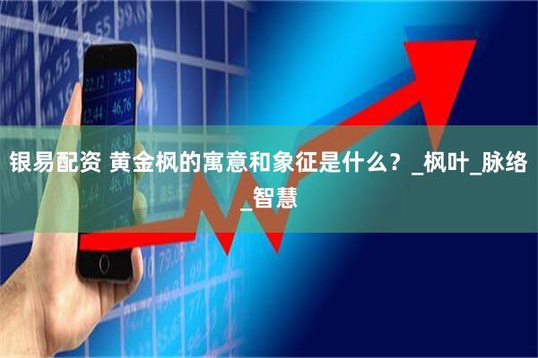 银易配资 黄金枫的寓意和象征是什么？_枫叶_脉络_智慧