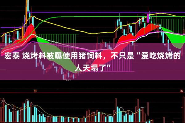 宏泰 烧烤料被曝使用猪饲料，不只是“爱吃烧烤的人天塌了”