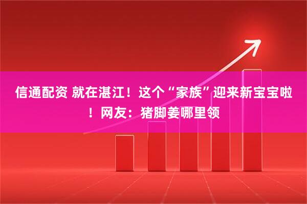 信通配资 就在湛江！这个“家族”迎来新宝宝啦！网友：猪脚姜哪里领