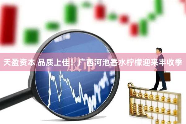 天盈资本 品质上佳！广西河池香水柠檬迎来丰收季