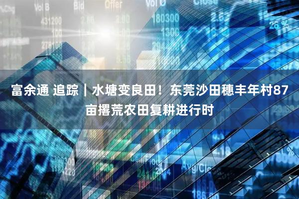 富余通 追踪｜水塘变良田！东莞沙田穗丰年村87亩撂荒农田复耕进行时