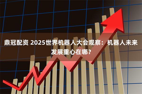 鼎冠配资 2025世界机器人大会观察：机器人未来发展重心在哪？