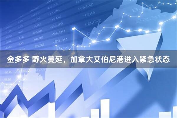 金多多 野火蔓延，加拿大艾伯尼港进入紧急状态