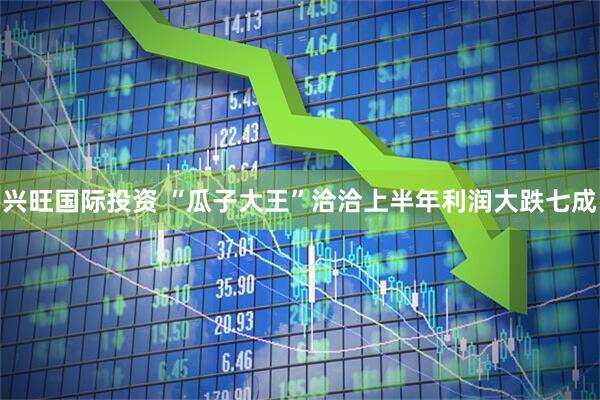 兴旺国际投资 “瓜子大王”洽洽上半年利润大跌七成